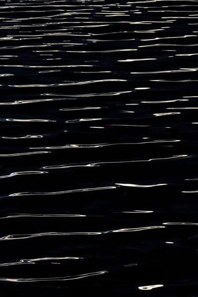 Photograph Joshua Smith Light Echoes In Black Ink on One Eyeland